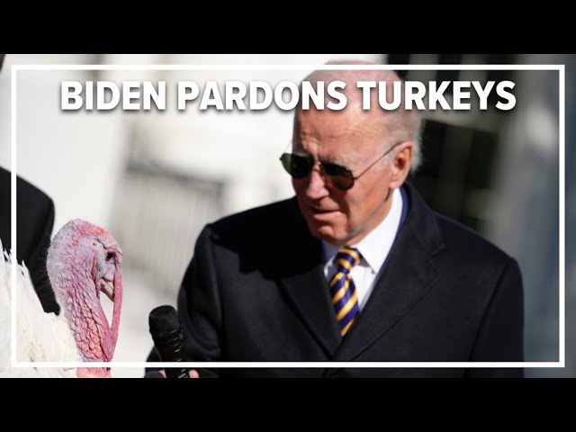 Biden pardons North Carolina turkeys for Thanksgiving