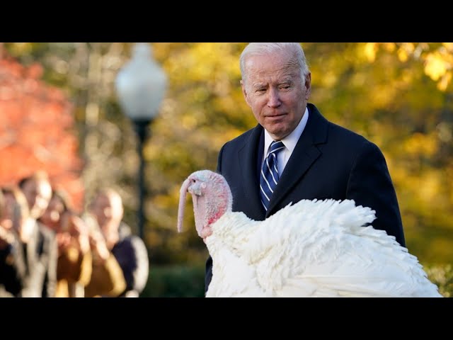 Biden pardons North Carolina turkeys for Thanksgiving