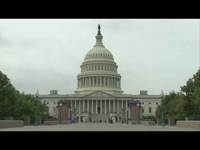 Georgia U.S. Senate runoff Tuesday