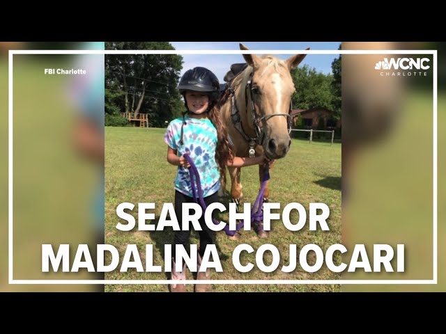 45 days since Madalina Cojocari was last seen