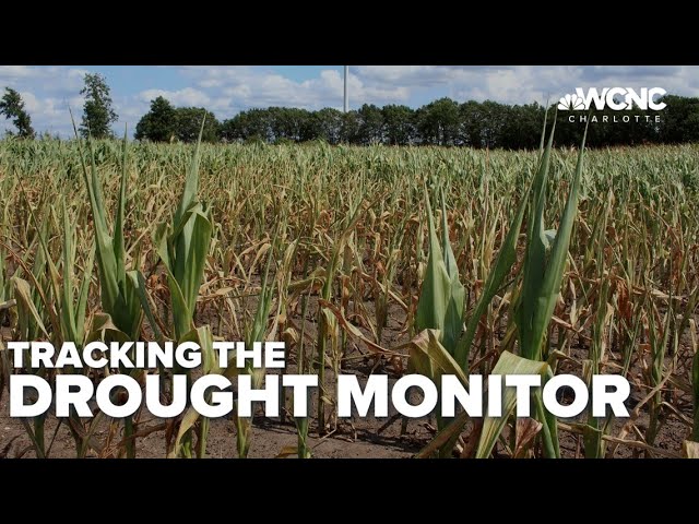 Does lots of rain get us out of a drought? Not really