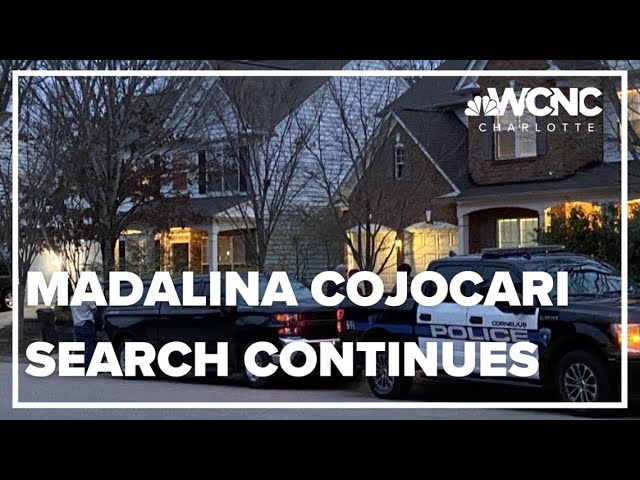 The connection between Caylee's Law and the Madalina Cojocari case