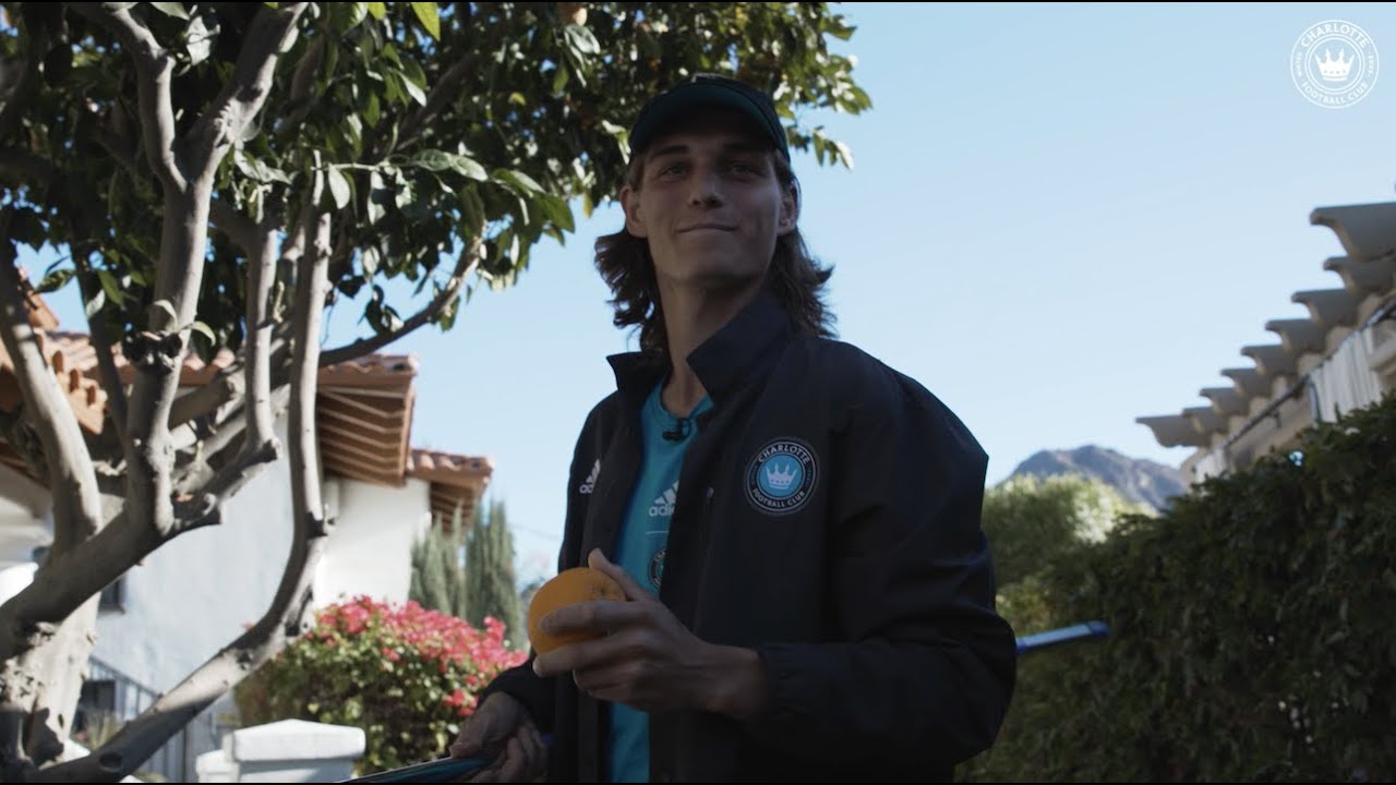 Ben Bender Picking Fruit (That's It, That's The Title)