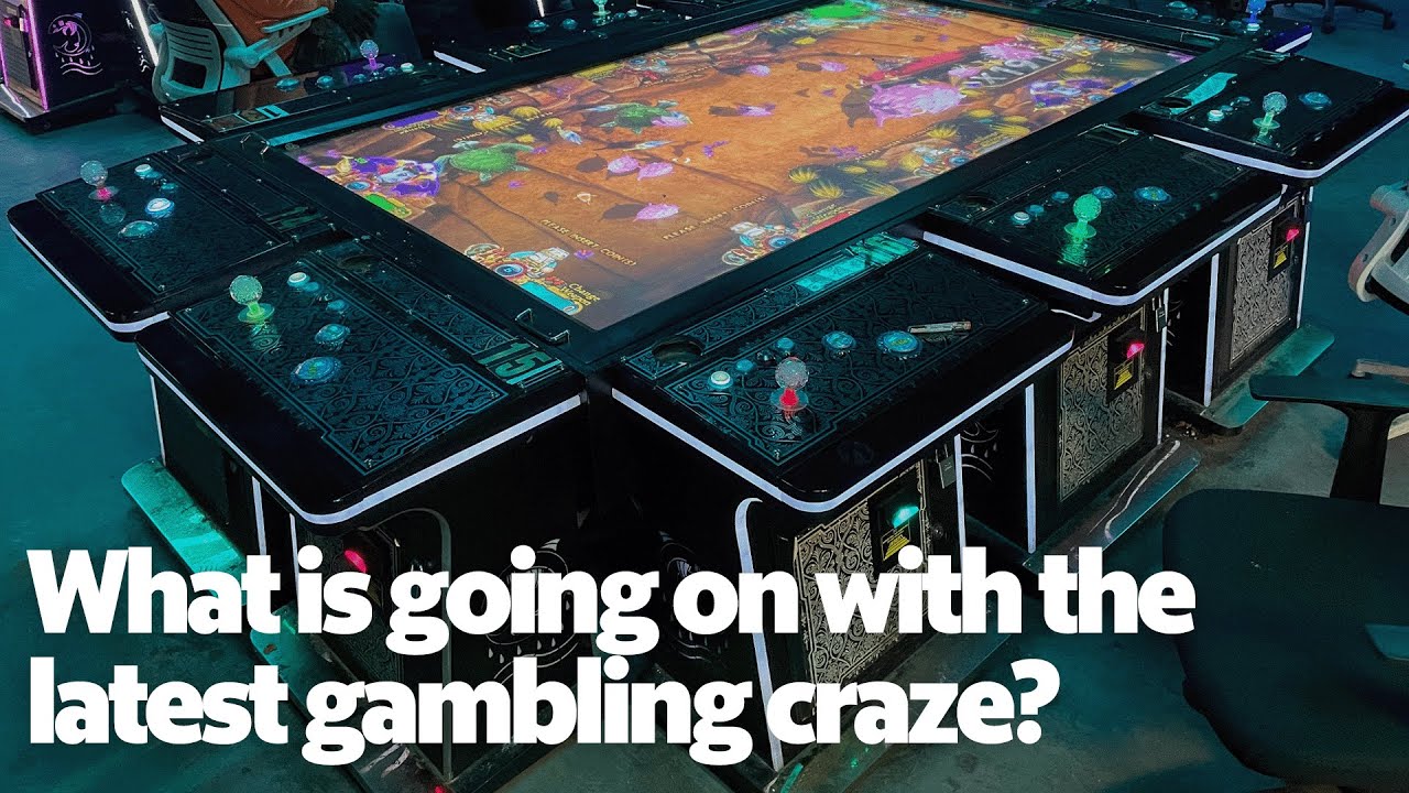 What is going on with the latest gambling craze?