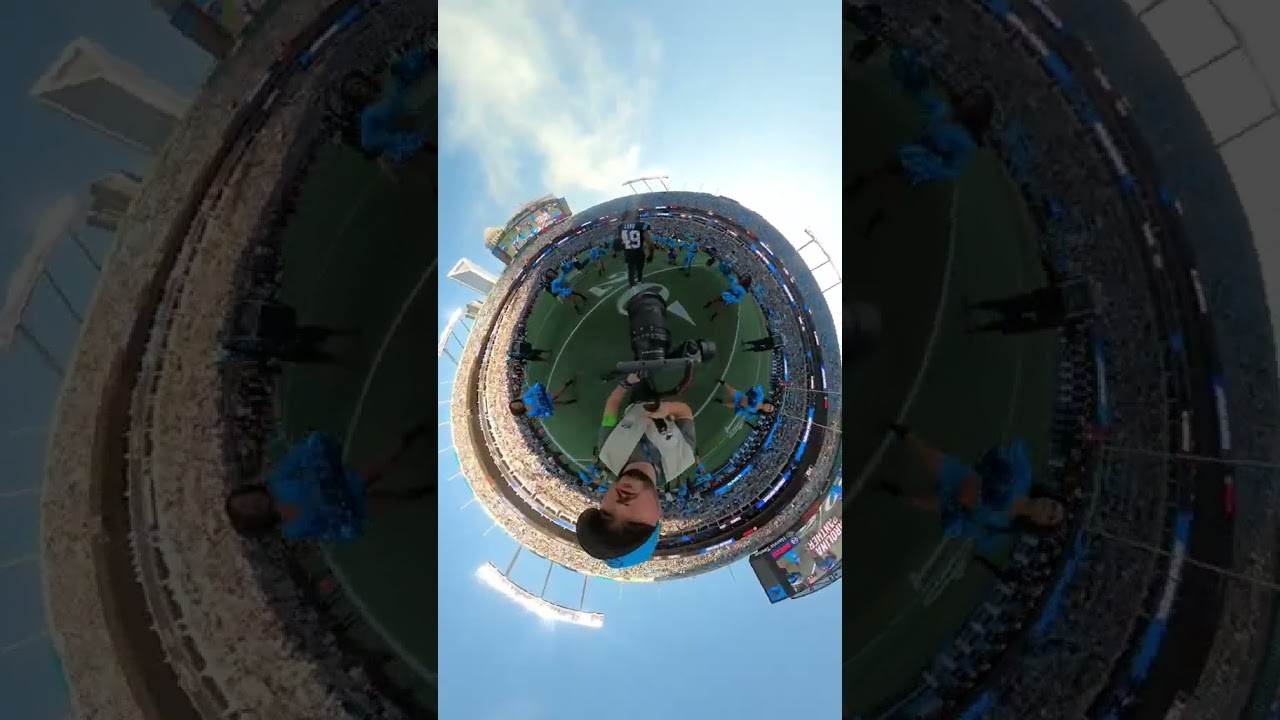 It's Frankie's world and we're all living in it #shorts #360camera #panthers
