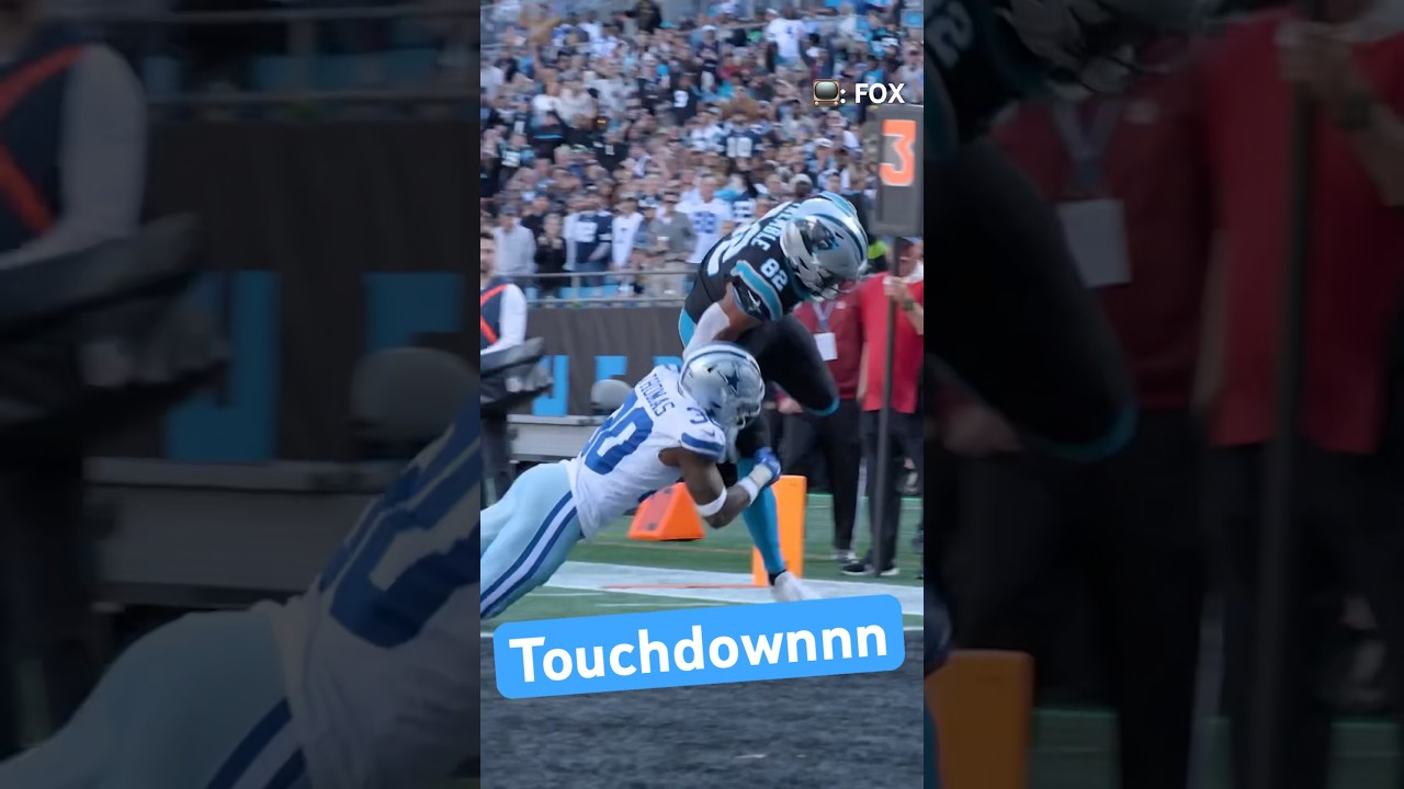 TE Touchdown ???? #nfl #carolinapanthers #panthers